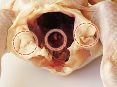 丸鶏の内蔵と脂肪部分