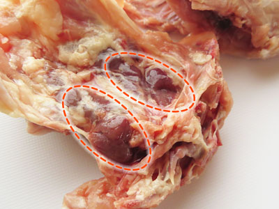 鶏がらの内臓部分