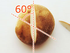 60°回転させて切れ込みを入れる箇所の説明図