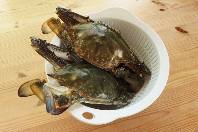 いちばんおいしい食べ方 ワタリガニの蒸し蟹