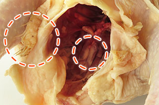 丸鶏の内蔵と羽根の付いた部分