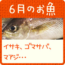 6月 初夏が旬のお魚 トップ カシコイ生活カシコイ買い物 主婦のミカタ